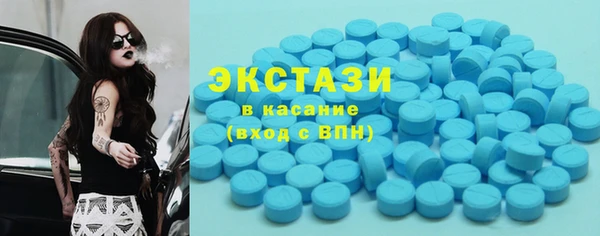 прущие грибы Верея