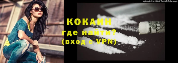 прущие грибы Верея