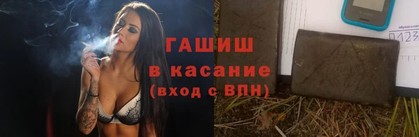 прущие грибы Верея