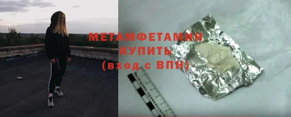 прущие грибы Верея