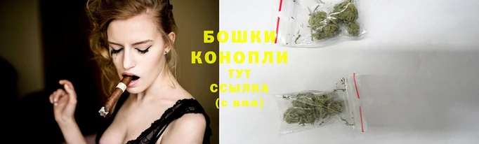 прущие грибы Верея