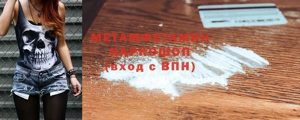 прущие грибы Верея