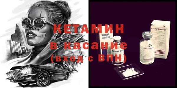 прущие грибы Верея