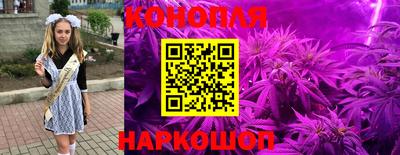 скорость Дубна