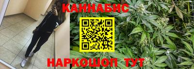 скорость Дубна