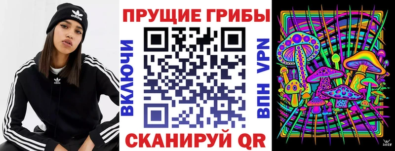 продажа наркотиков  даркнет как зайти  Галлюциногенные грибы GOLDEN TEACHER  Медногорск 