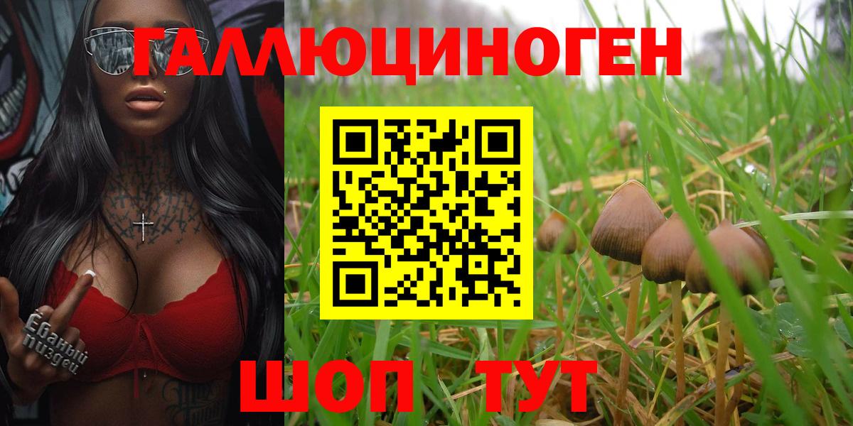 Псилоцибиновые грибы мицелий  Галлюциногенные грибы прущие грибы  Медногорск  Вход с VPN 